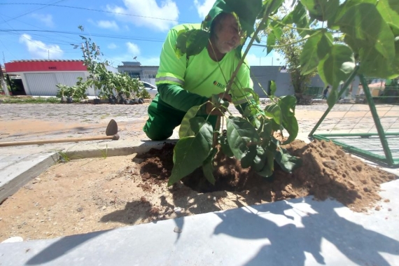Planta Natal fará plantio de 100 árvores na cidade e reflorestamento às margens do rio Pitimbu