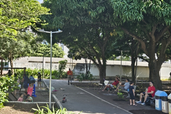 Dia de Proteção às Florestas será marcado por ação de educação ambiental no Bosque das Mangueiras