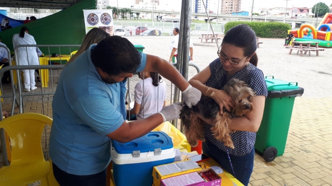 Centro de Zoonoses vacina mais de oito mil animais na Campanha Antirrábica  