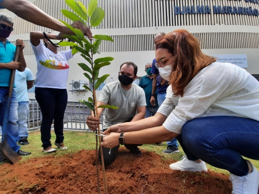 Prefeitura do Natal promove plantio de mudas na Praça Cívica e Ginásio Nélio Dias