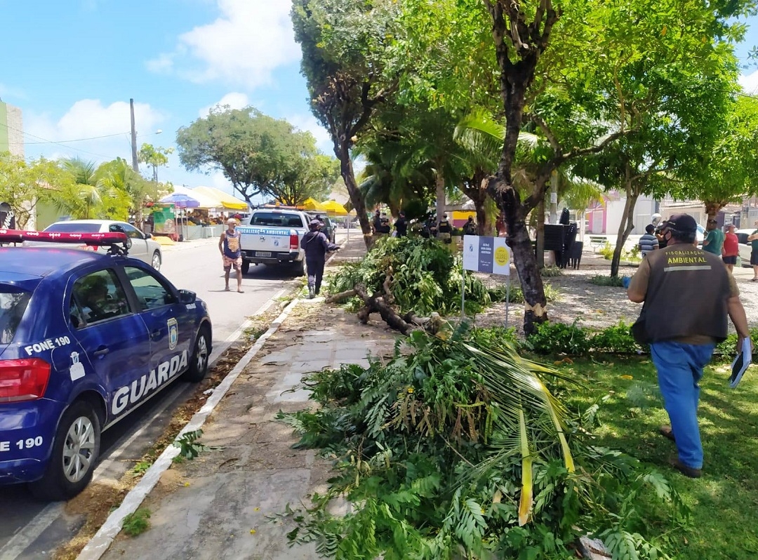 Natal passa a adotar sistema nacional para controle de supressão de vegetação nativa