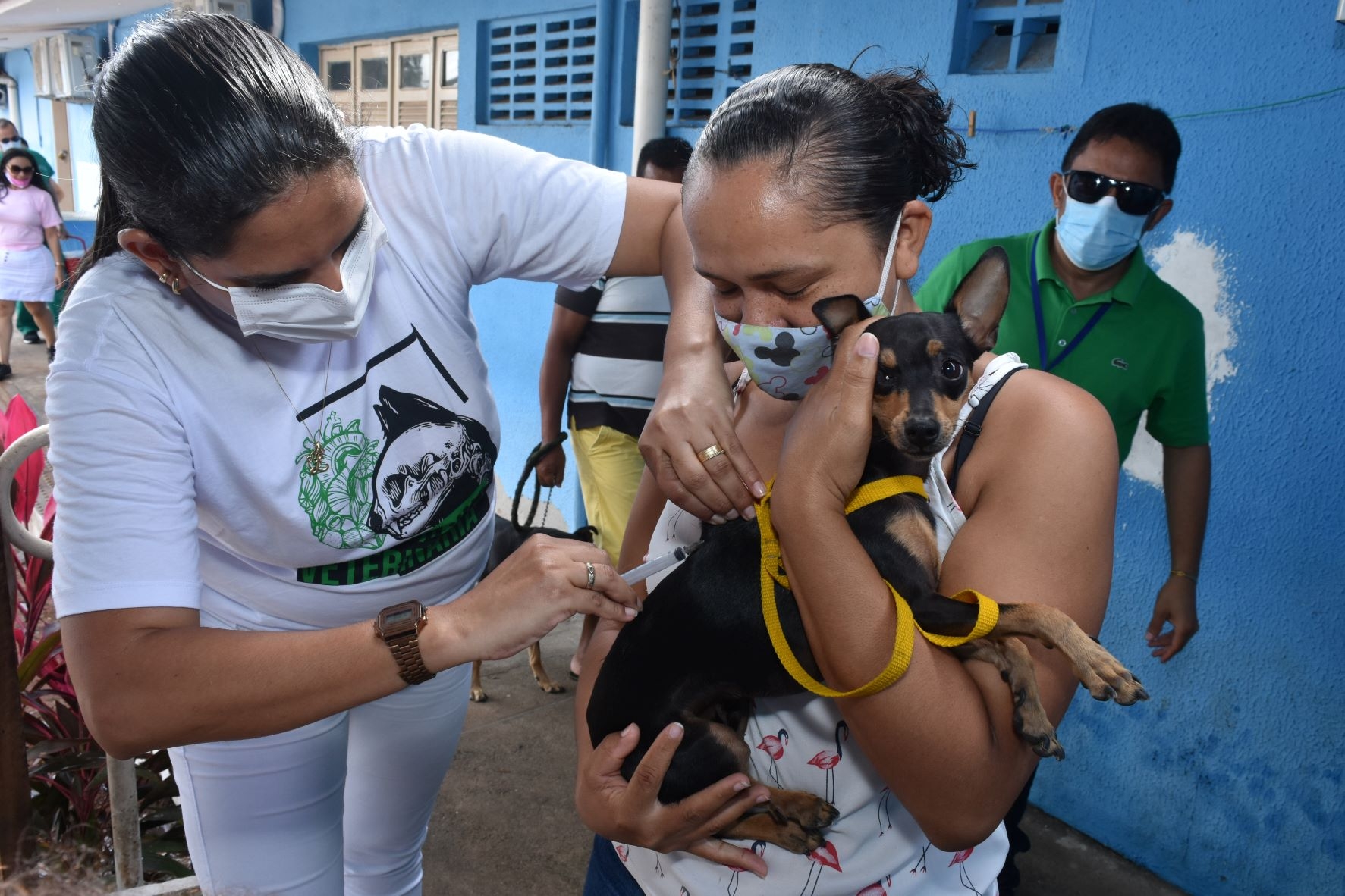 CCZ de Natal realiza vacinação antirrábica na região oeste