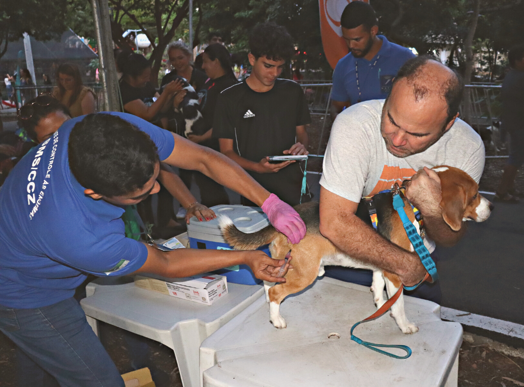 Confira locais de vacinação antirrábica deste sábado (11)