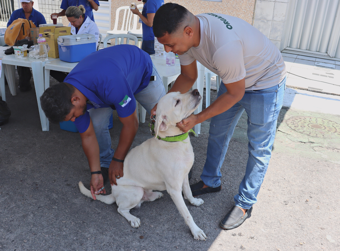 Prefeitura faz chamada pública para Hospital Veterinário Público