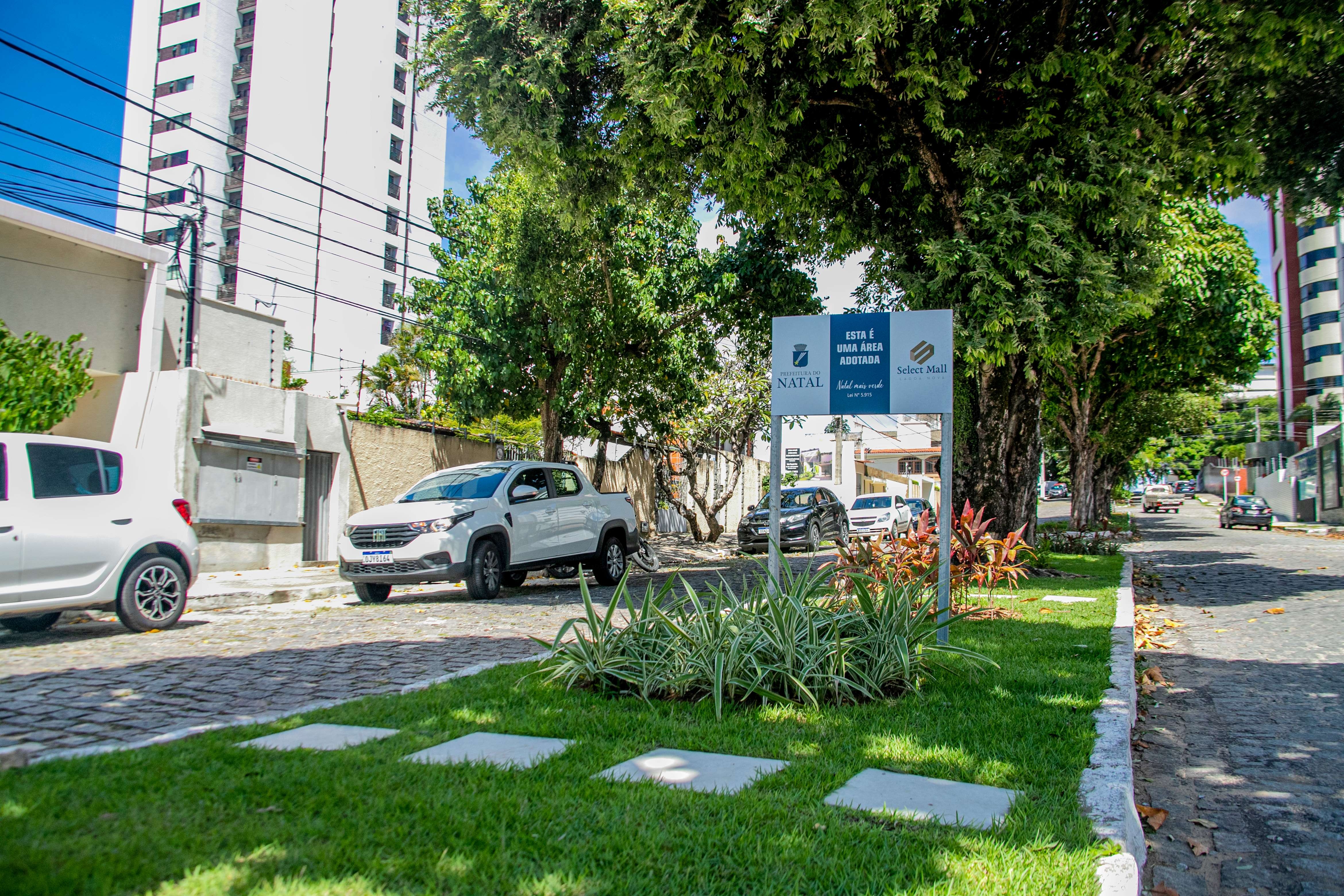 Programa Natal Mais Verde chega a 55 adotantes em 2024