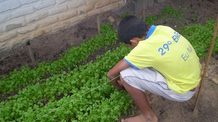  Adolescentes cultivam horta na Casa de Passagem III
