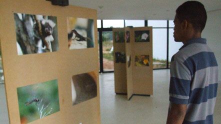 Semana do Meio Ambiente abre com diversas atividades no Parque da Cidade