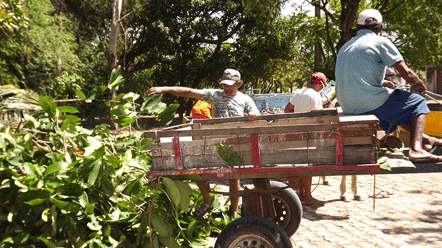 T&eacute;cnicos da Urbana e equipe da UFRN visitam Ecoponto em Ponta Negra