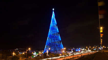 Ilumina&ccedil;&atilde;o da &Aacute;rvore de Mirassol abre o Natal em Natal 