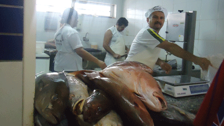 Mercado do Peixe preparado para atender demanda na Semana Santa